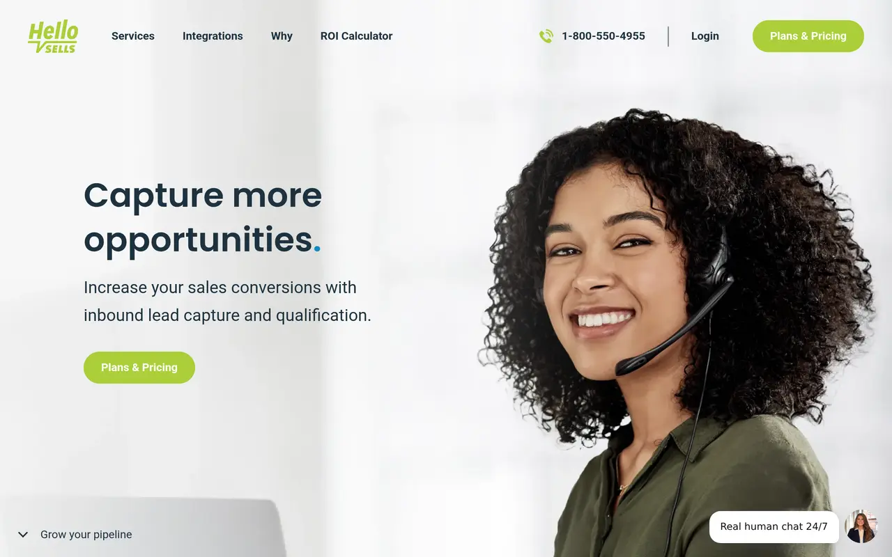The HelloSells homepage at www.hellosells.com